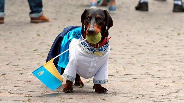 Дата с намёком: США и Германия объявили войну России. Пока газовую