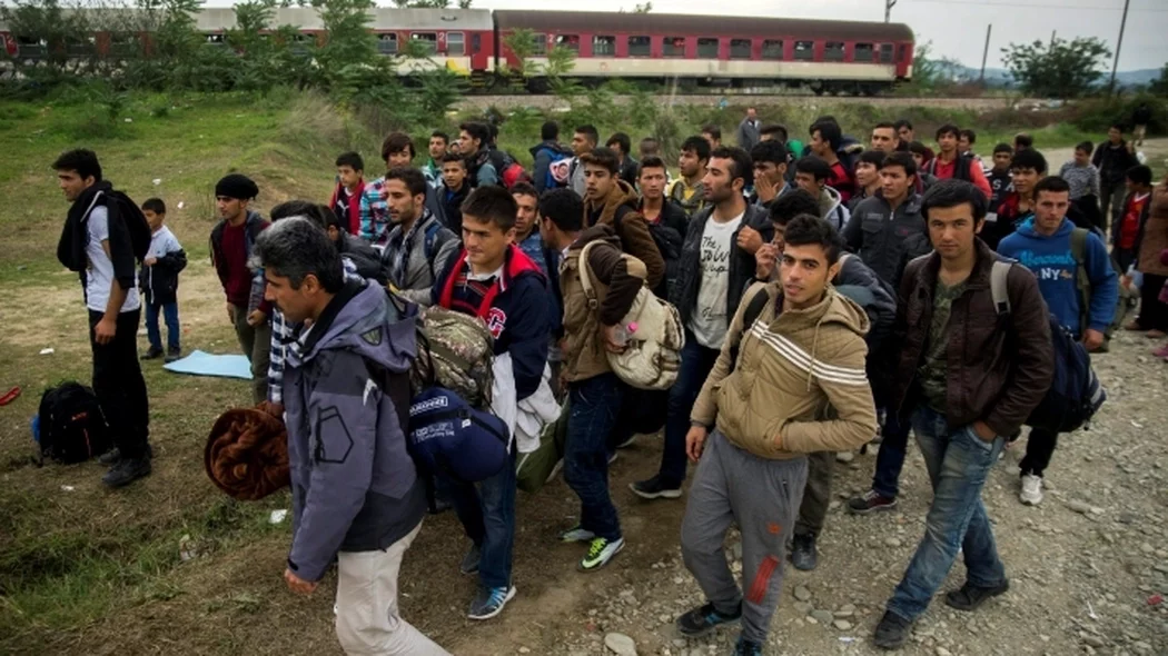 Латвию и Эстонию могут обязать принять мигрантов из Литвы — Рига пригрозила режимом ЧС