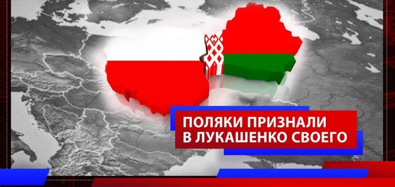 Поляки предложили руководству страны поучиться у Лукашенко