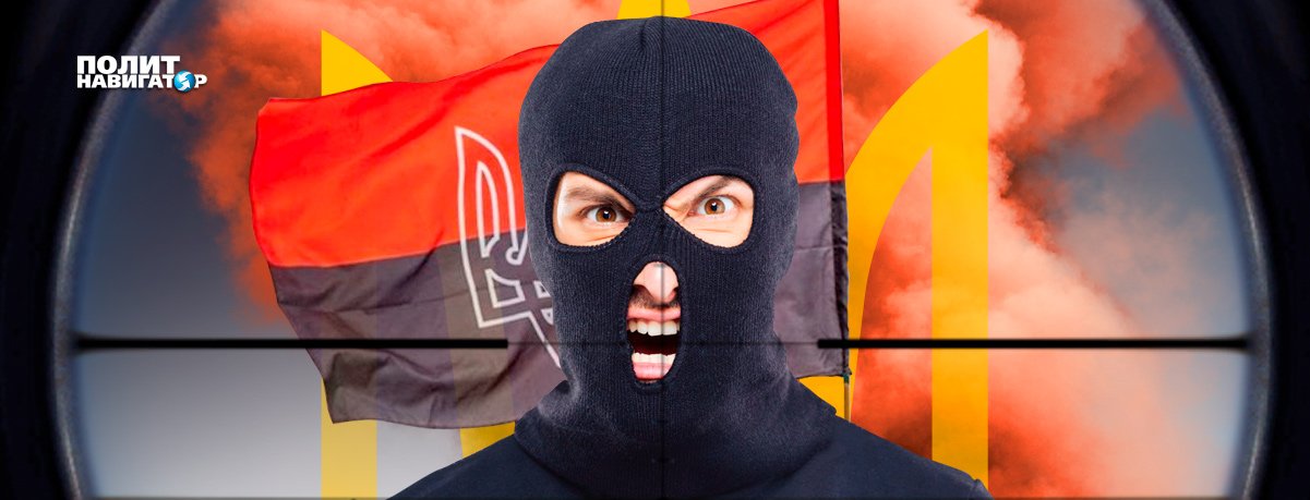 На сайте Зеленского появилась петиция с требованием денацификации Украины