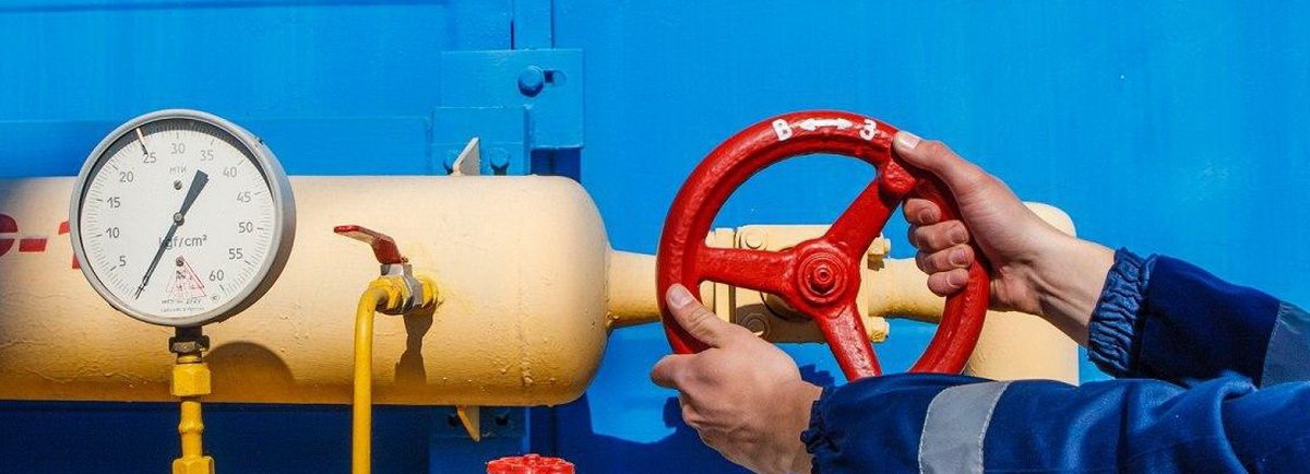 Киевский экономист хочет, чтобы Украина заработала на «фашизме XXI века»