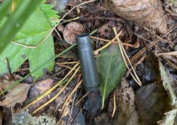 Покушение на Шефира. Все больше фактов говорят о постановке в стиле «Квартала 95»