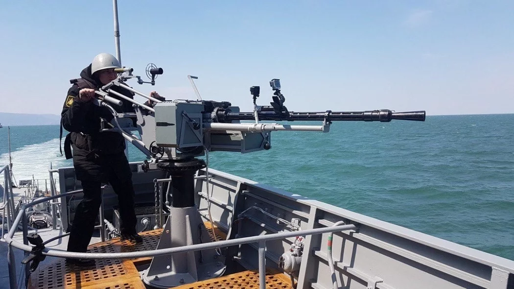 Капитан 1-го ранга Дандыкин: боевой модуль «Нарвал» позволит ВМФ РФ закрыть морские границы на замок