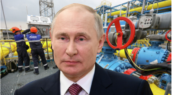 Сатановский оценил ответ ЕС на изящный «газовый» подарок Путина на «свой день рождения»