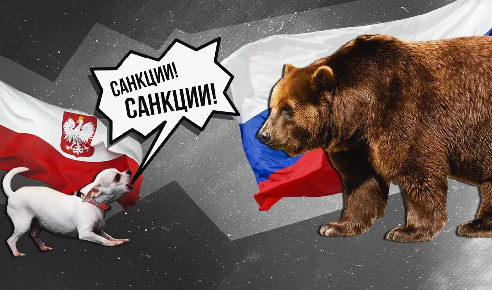 Стариков осудил призывы поляков ударить по России санкциями