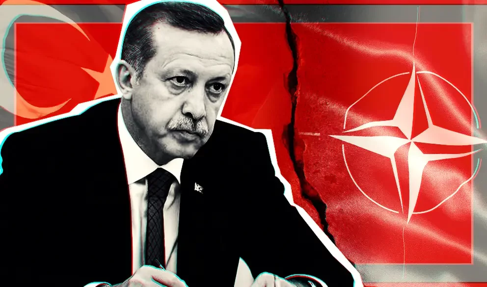 Профессор Вавилов назвал «показухой» угрозы Эрдогана о высылке дипломатов НАТО