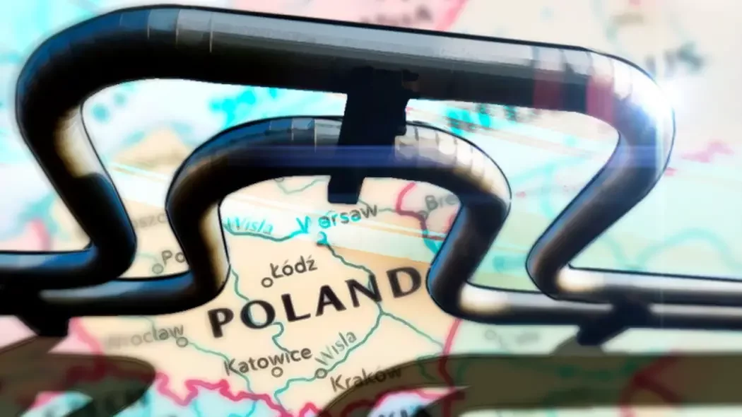 Пушков: польская внешняя политика выстроена на эмоциях, гордыне и синдроме жертвы