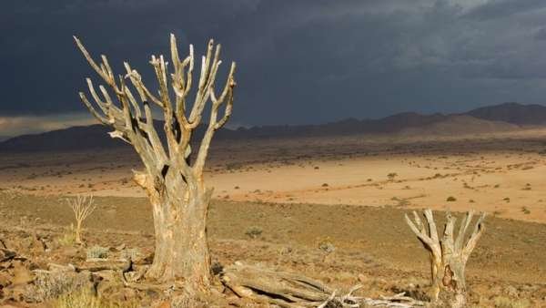 ЦРУ обещало новую мировую войну. Осталось меньше 20 лет