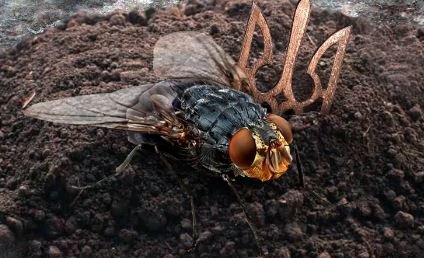 Так и не сумев восстановиться, украинская промышленность снова обваливается