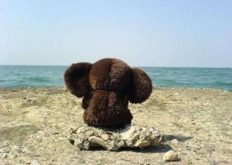 Власть и оппозиция: полная деградация в Грузии, Украине и Белоруссии