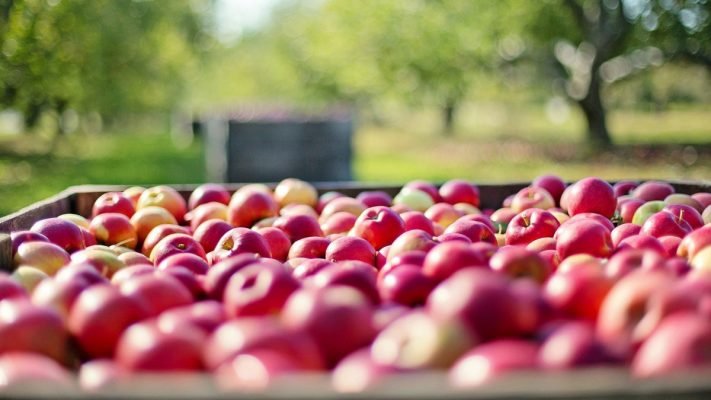 Поляки хотят пойти на крайние меры против РФ из-за критической ситуации с яблоками