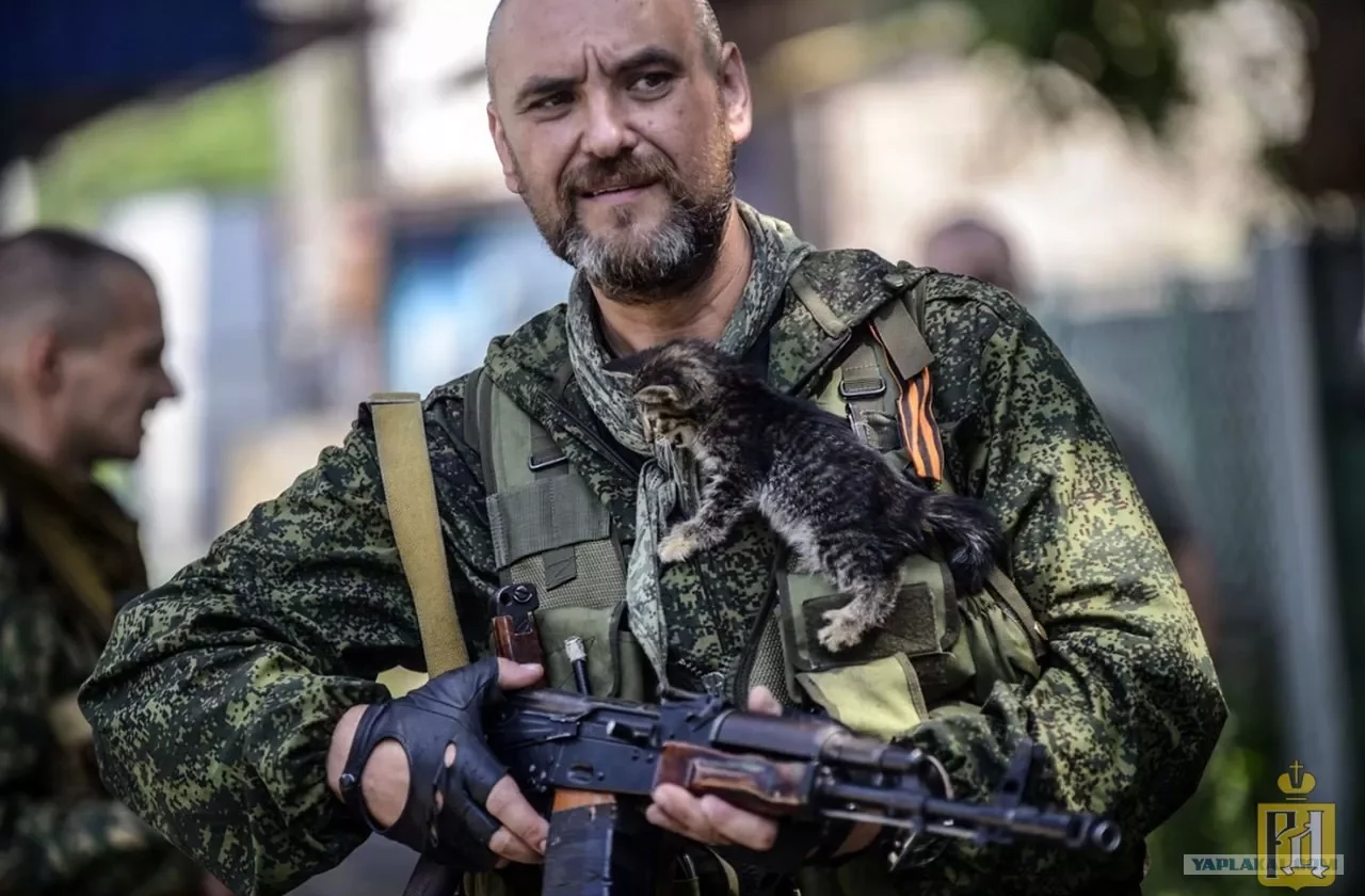 «Это не сумасшедшие сепаратисты» – берлинского эксперта напугал форум «Русский Донбасс»