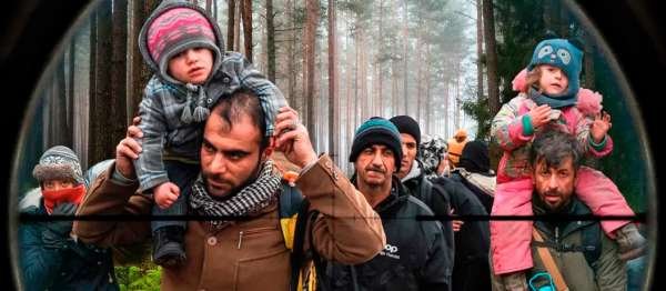 Зеленский санкционировал убийство мигрантов?