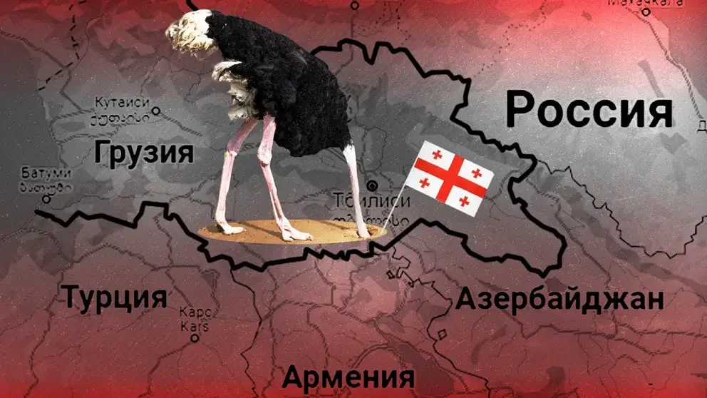 Назло России: планы Запада в Закавказье поставили Грузию в позу страуса
