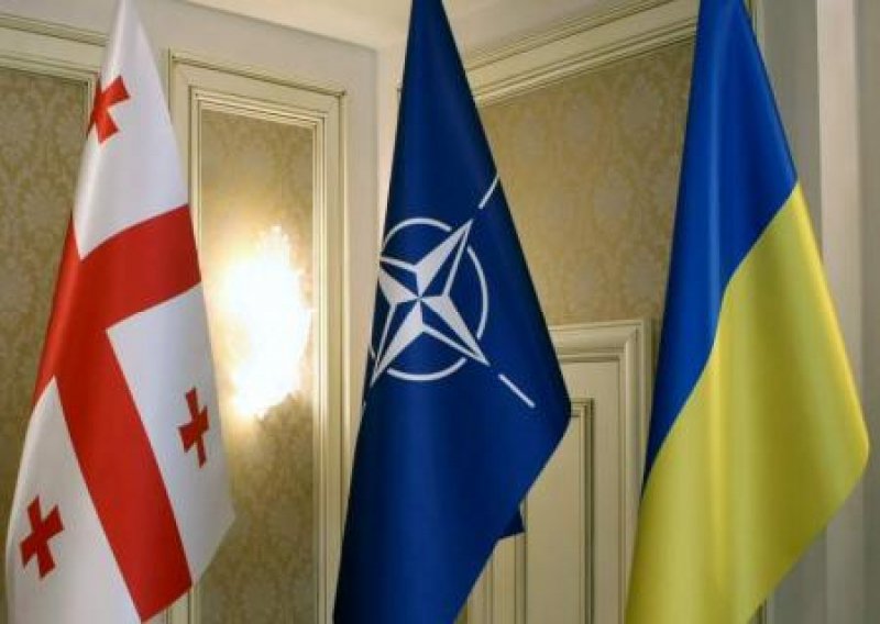 Экс-генсек НАТО придумал способ вступления Украины и Грузии в альянс