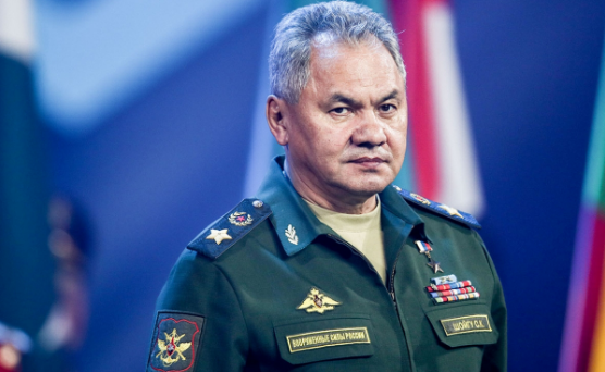 Баранец объяснил тайные мотивы Британии пригласить Шойгу в Лондон