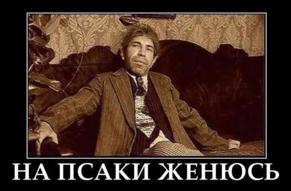 Виртуальный кактус Зеленского