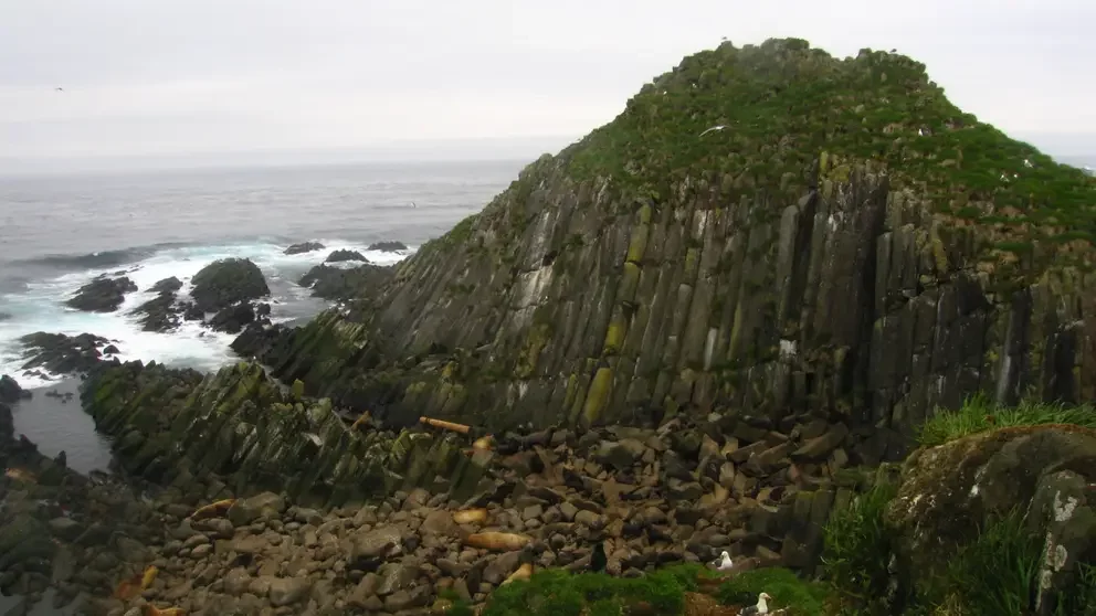 «Мнение США ничтожно»: Виктор Литовкин о позиции американцев по «курильскому вопросу»