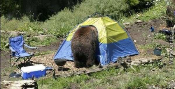 Противодействие «вторжению» с плачевным концом для Клопии
