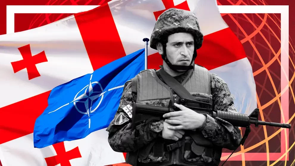 Дурной пример заразителен: Грузия вслед за Украиной обсуждает с НАТО варианты «поддержки»