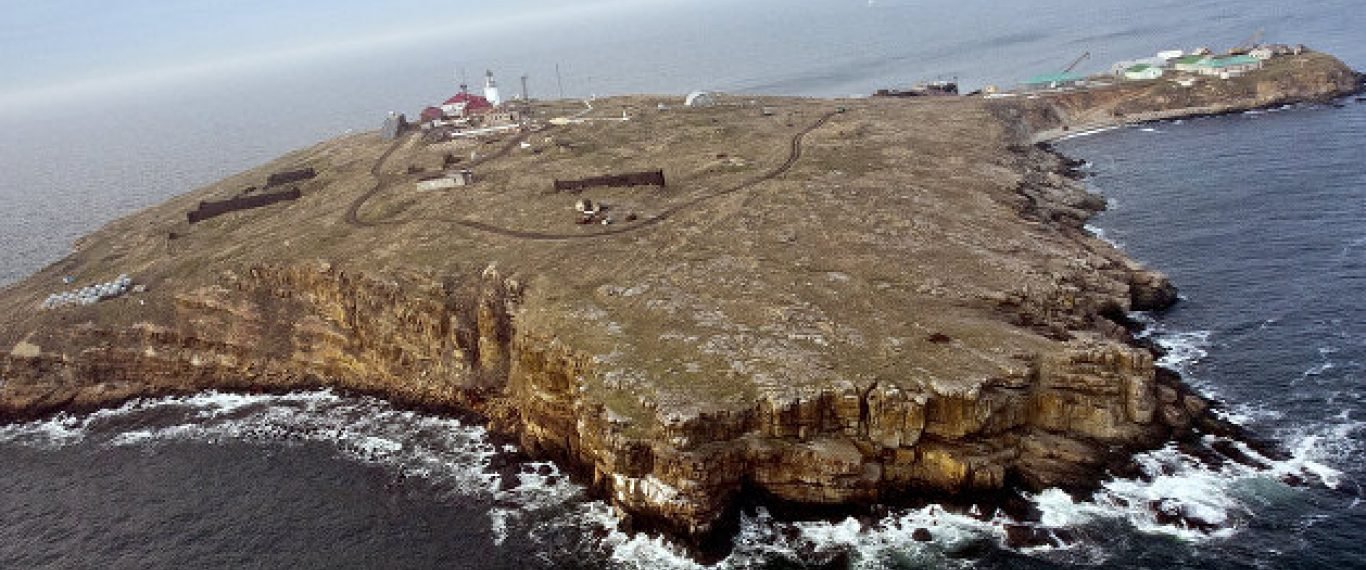 В Минобороны РФ рассказали о сдаче более 100 бойцов ВСУ на Змеином острове и под Николаевском