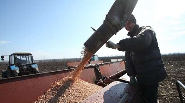 Японцы отвернулись от Зеленского, зерно на вес золота, озарение наёмников из Европы