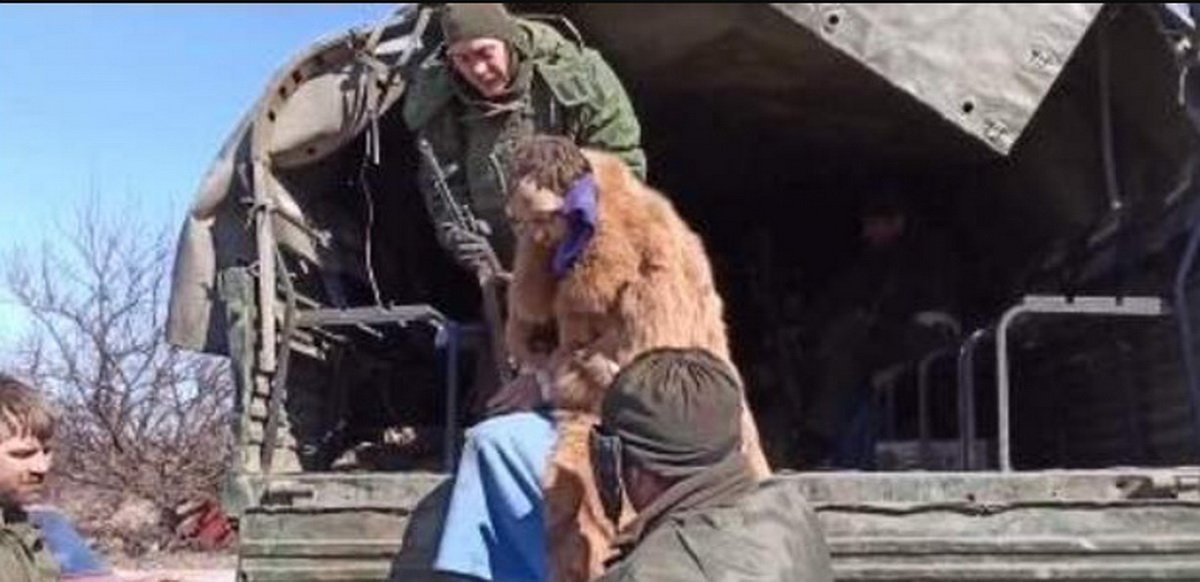 Видео где поймали украинку. Украинский военный в шубе. Украинские военные в женских шубах. Украинский военный корреспондент. Украинский военный переоделся.