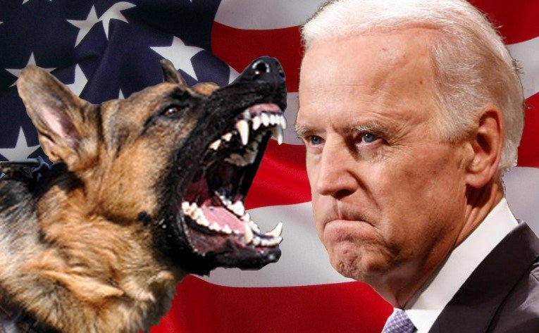 Байден придумал способ «сохранить лицо» перед американцами