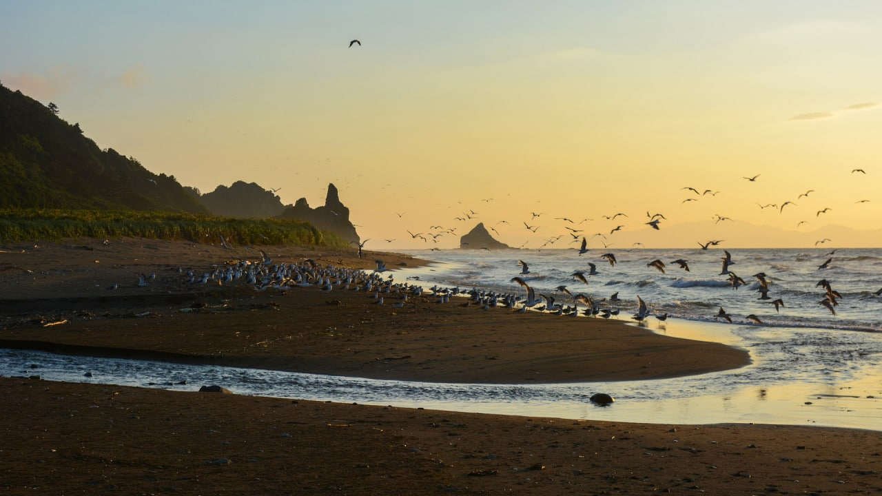 Япония: время для выбора истекает