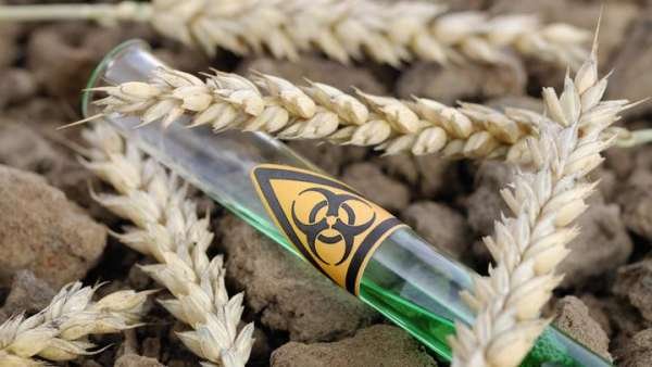 Теперь не отвертеться. Россия представила ООН новые доказательства создания биооружия на Украине