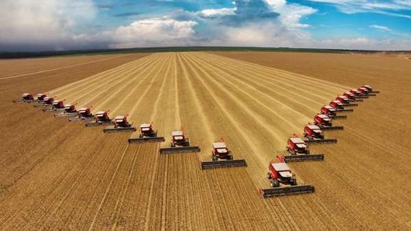 Ловушка захлопнулась: Вся пшеница мира – под контролем России