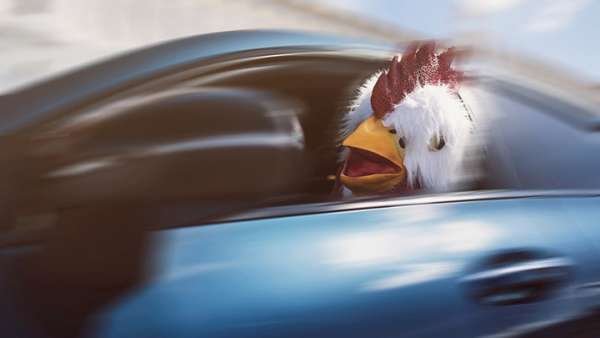 Уровень "Петух в вине": Игроки – от Васильева до Урганта начали раунд возвращений