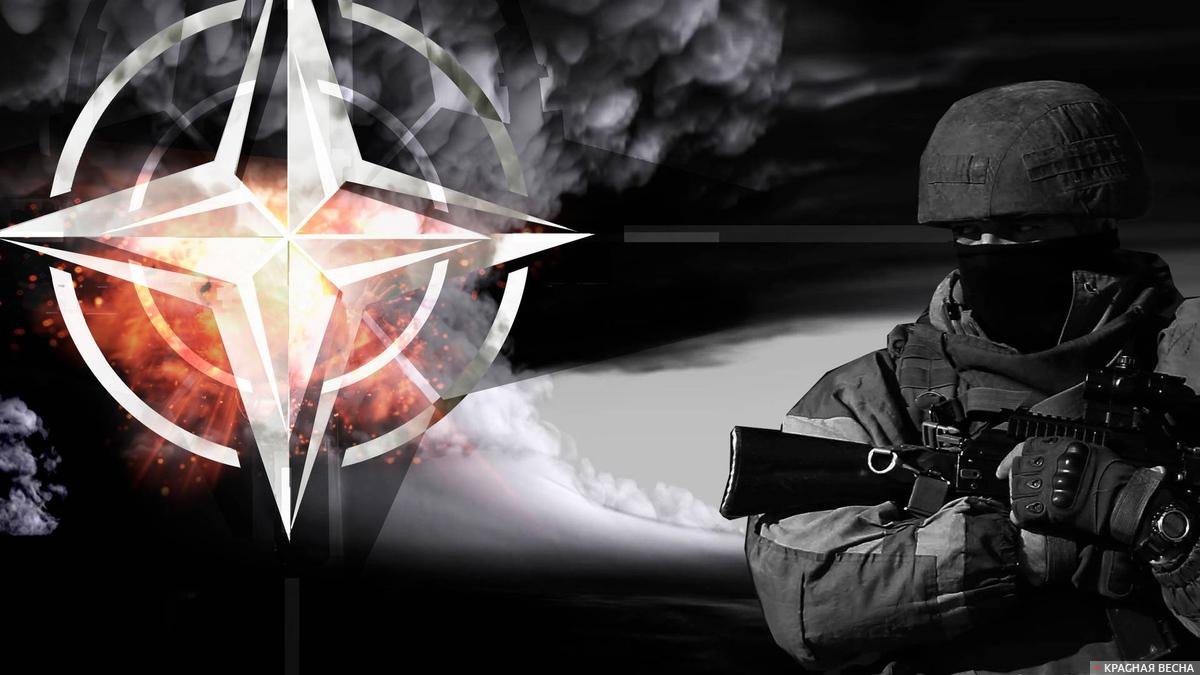 Евсеев оценил перспективы военного конфликта между НАТО и Россией