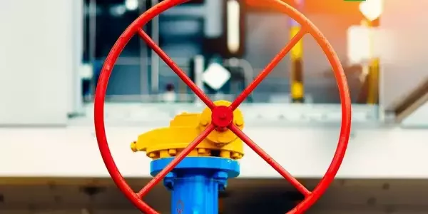 Какая неожиданность, новые правила России взбесили Запад