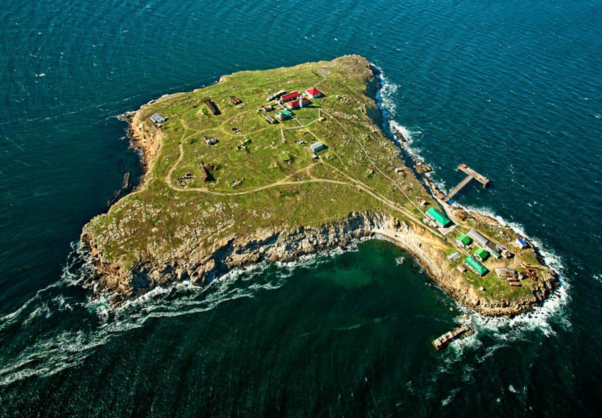 Дандыкин раскрыл тайную подоплеку в уходе ВС РФ с острова Змеиный