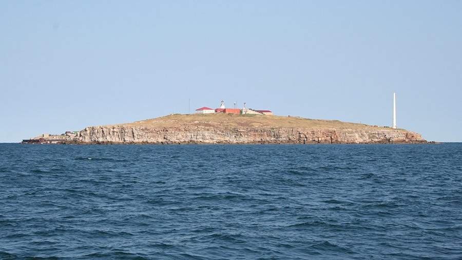 Минобороны: Российские военные ударили по острову Змеиный после установки там украинского флага