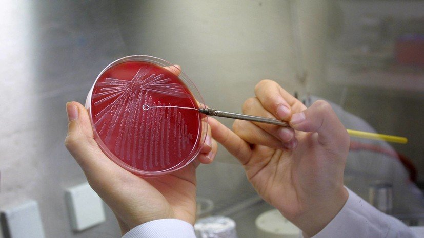 США намереваются открыть лабораторию по исследованию сибирской язвы в Киргизии