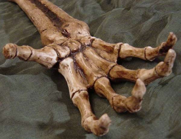 Бучи-2 не получится: вскрылась ложь о руке с браслетами из могилы в Изюме