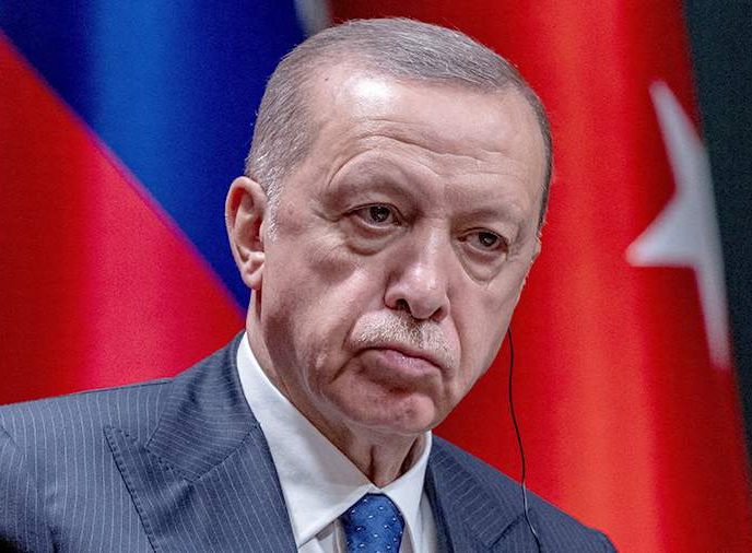 Эрдоган заявил, что Путин после референдумов «сделает то, что задумал»