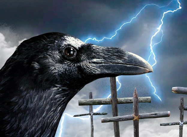 «В киевских гражданских больницах – раненый на раненом, в Галичине – кладбища до горизонта» – Ваджра