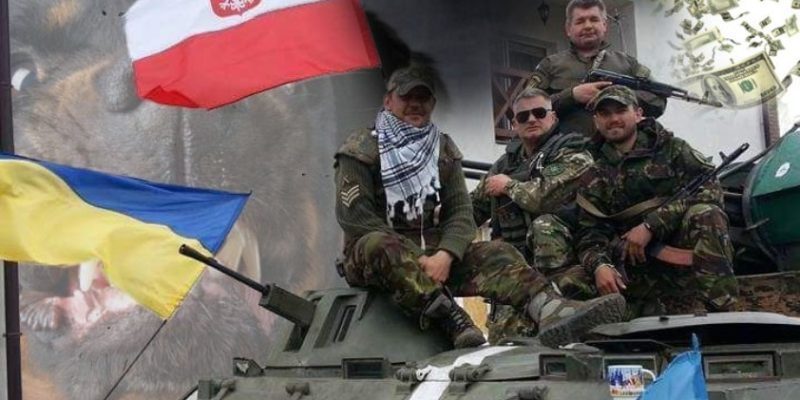 Польские «псы войны» сорвались с цепи и грызутся с украинскими националистами