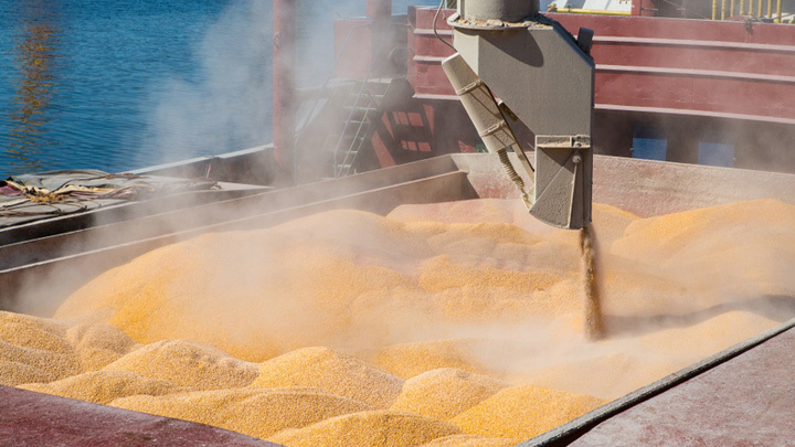 Анкара получила ответ Киева на озабоченности Москвы по зерновой сделке