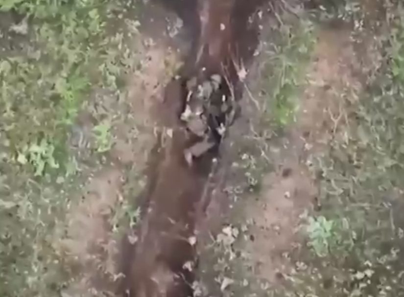 Власти рассказали о солдате, который на видео выбрасывал гранаты из окопа