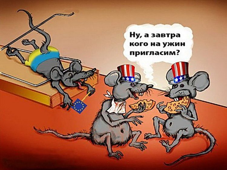 Мышеловка захлопнулась