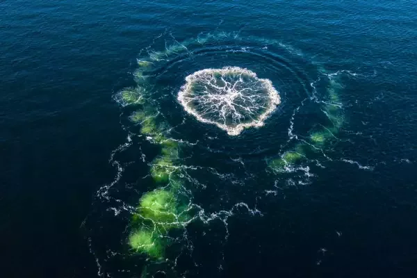 США развязали России руки: Можем бить. Будет больно