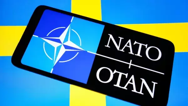 Сумасшествие НАТО остановили одним сообщением: "Только за этот твит Россия должна победить"