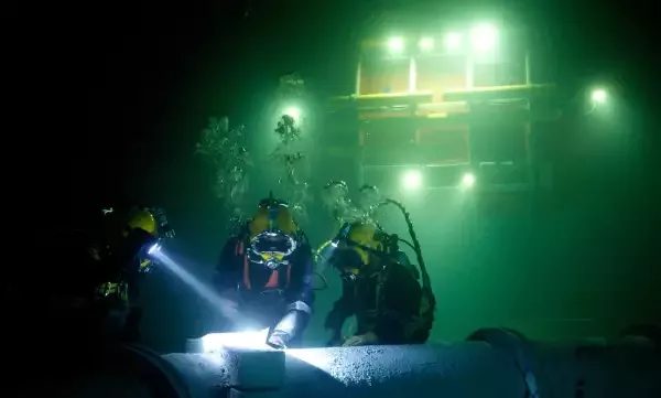 Террористический симптом умственной недостаточности Вашингтона