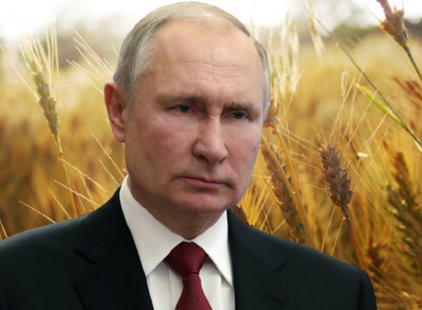 «Путин абсолютно прав»: зерновую сделку неслучайно продлили именно на 60 дней