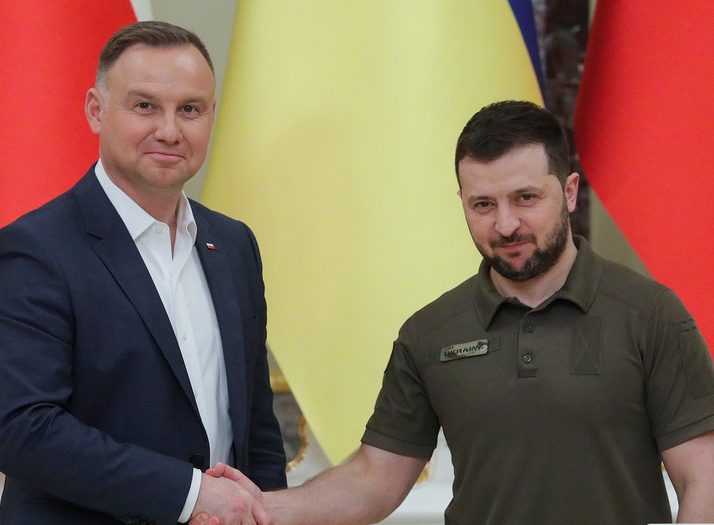План Зеленского неожиданно ударил по Украине: Польша не скрывает радости