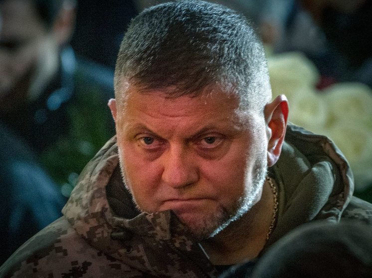 Раскрыты истинные причины истерики Залужного